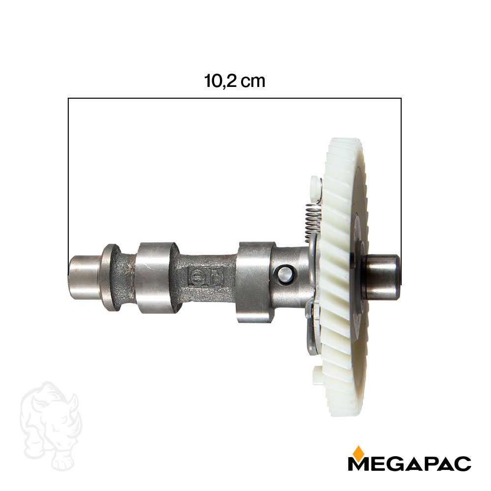 Conjunto de árbol de levas