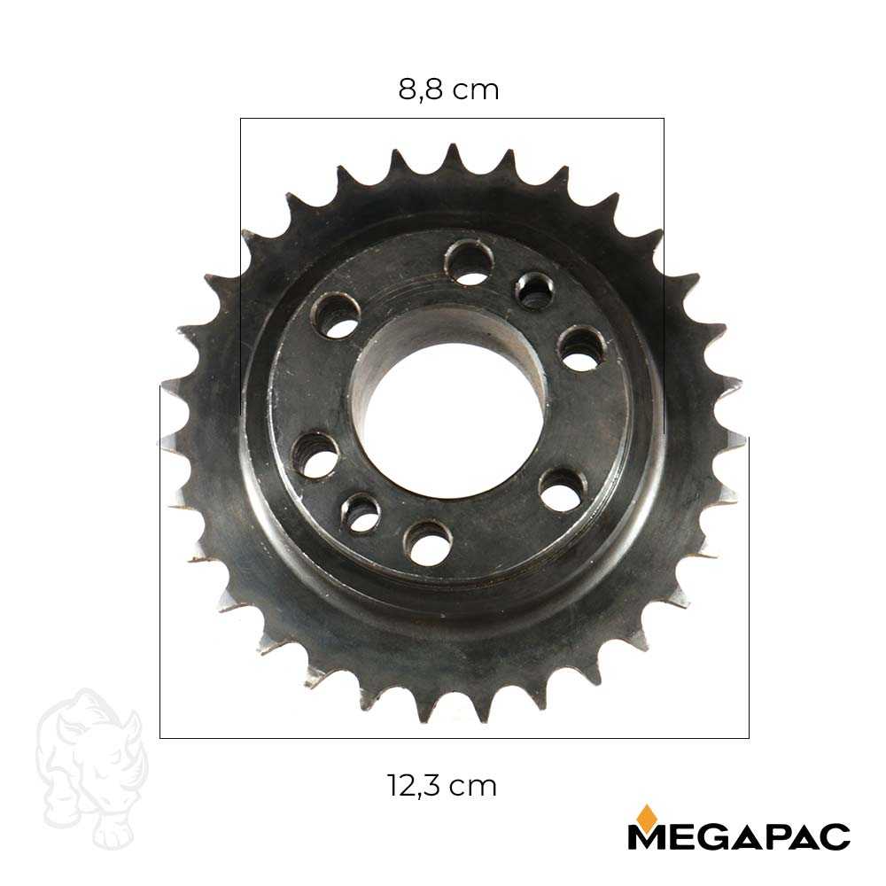 PIÑON GRANDE CADENA